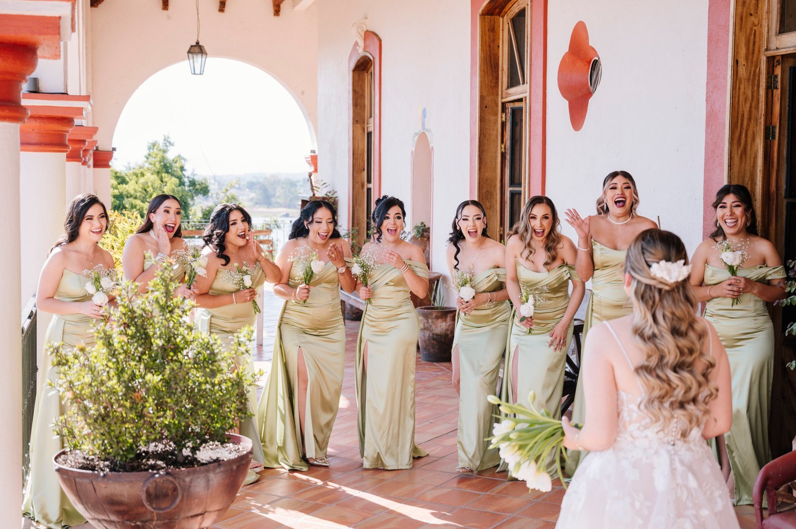 Fotógrafo en Guadalajara. Fotógrafo en Teuchilán. Fotógrafo de bodas